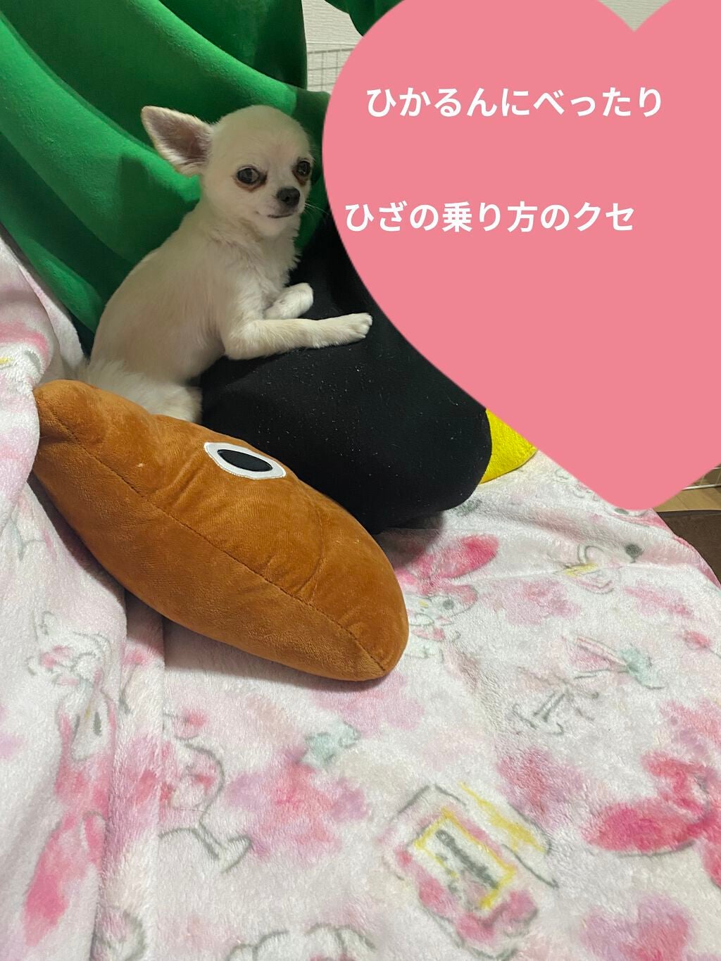 シャワージェル モリンガ /THE BODY SHOP/ボディソープを使ったクチコミ(5枚目)