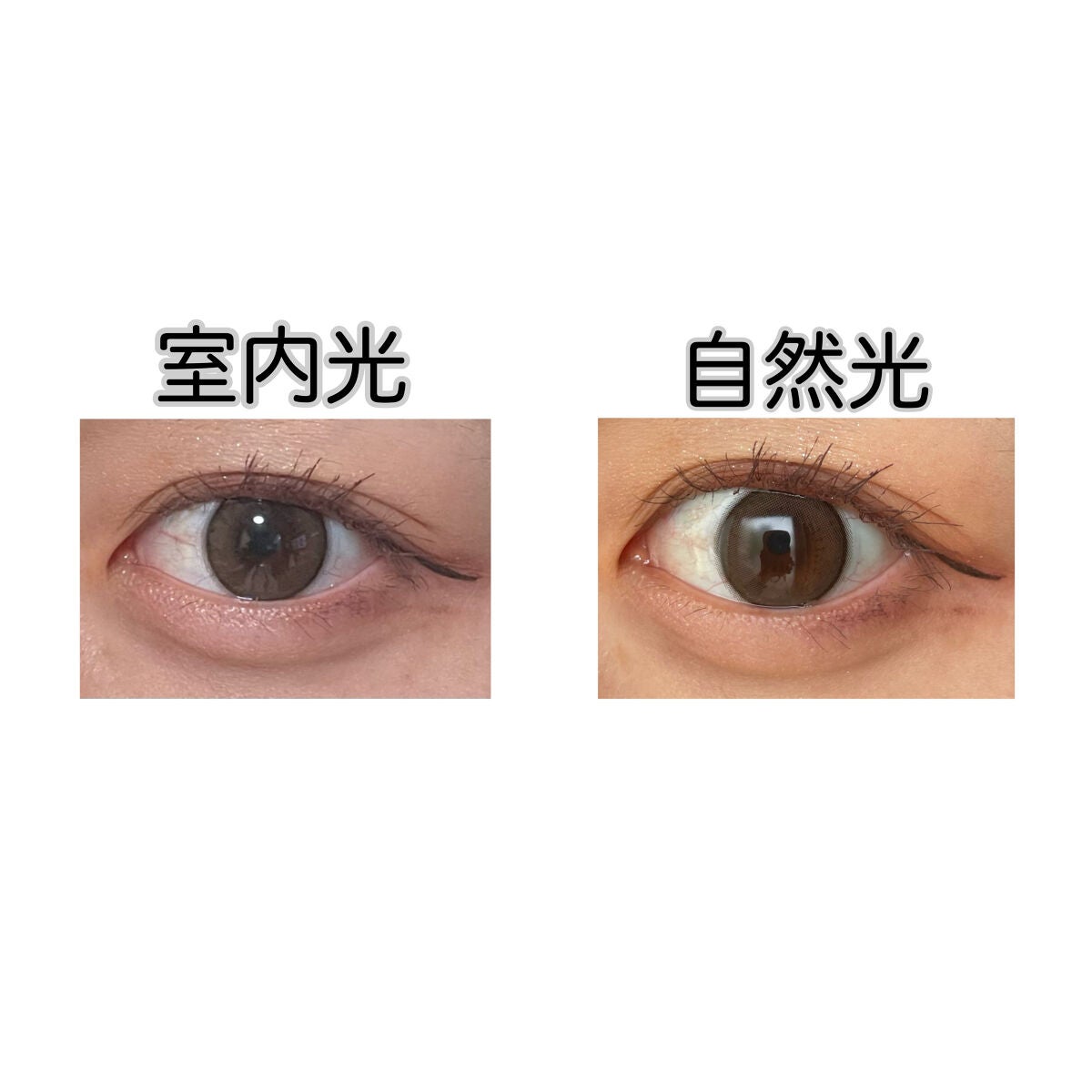 エバーカラーワンデー ナチュラル/エバーカラー/ワンデー(1DAY)カラコンを使ったクチコミ(1枚目)