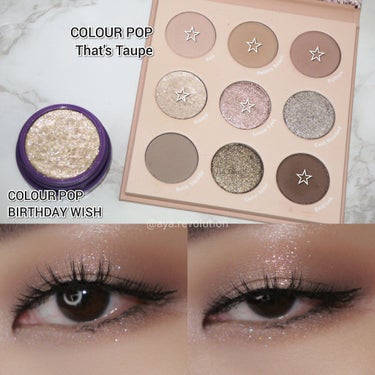 That's Taupe/ColourPop/アイシャドウパレットを使ったクチコミ（1枚目）