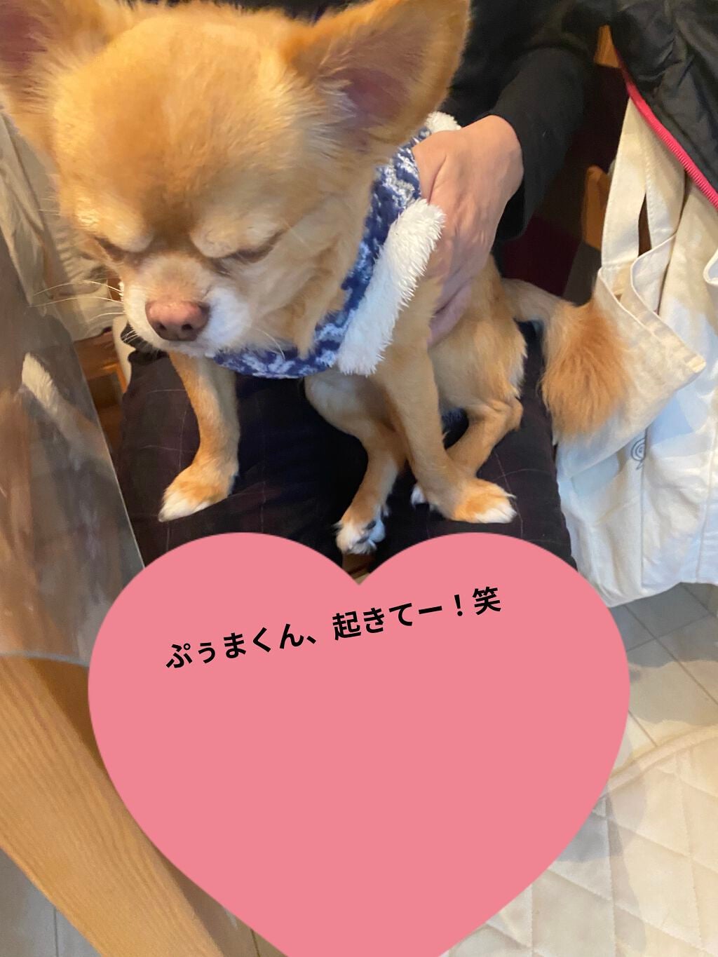 フルーツミラーリップグロス/Joocyee/リップグロスを使ったクチコミ(9枚目)