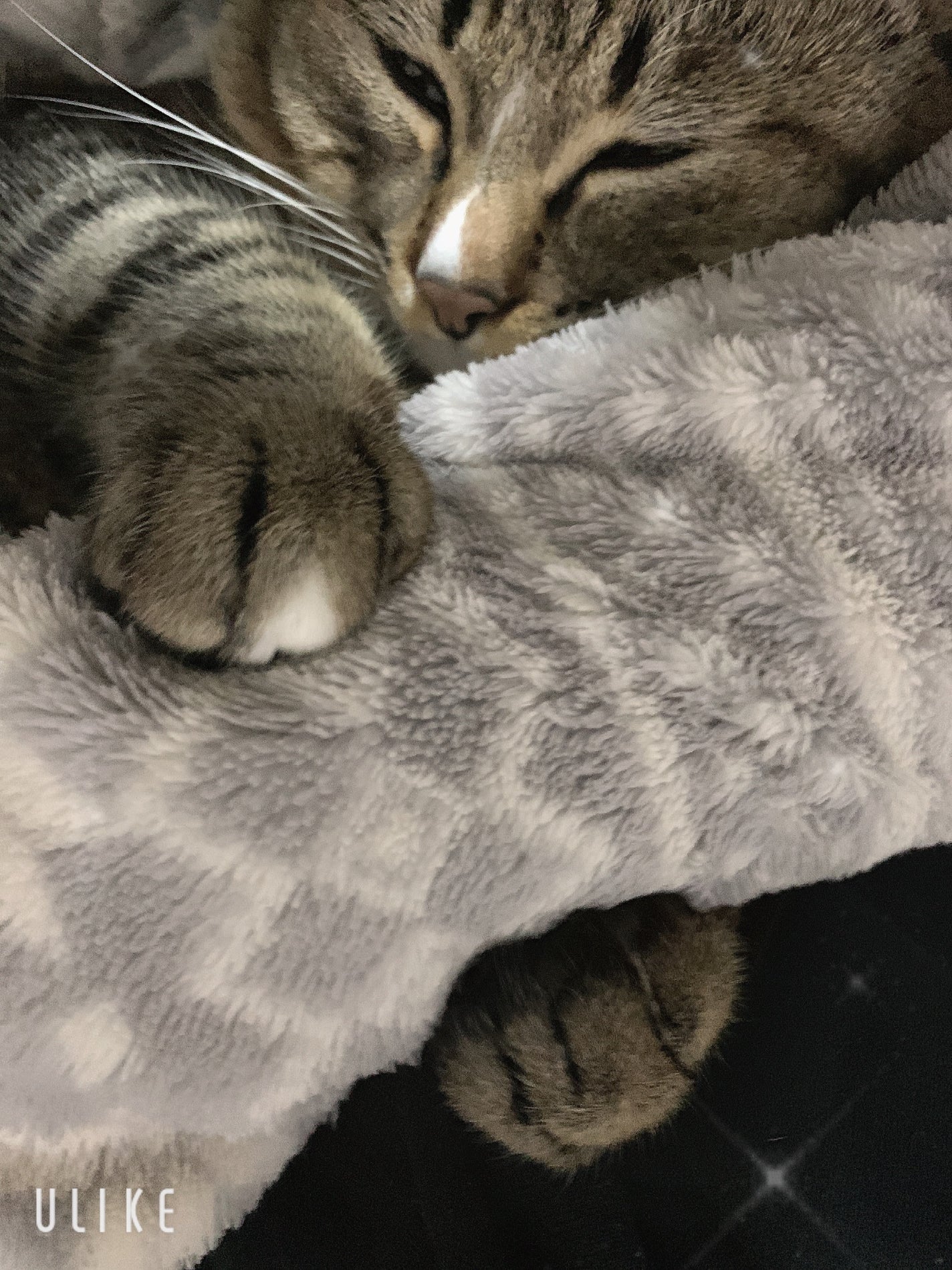 йаÑsÏ
ð¥ã³ã¹ã¡ð奜ããããšæ²¢å±±ç¹ããããð on LIPS ãããŠãã®æ¬¡ç·åã·ãªãŒãºðââ¬ðŸðããã€ãããŠãã®æ¬¡ç·åã·ãªãŒãº..ãïŒ2æç®ïŒ