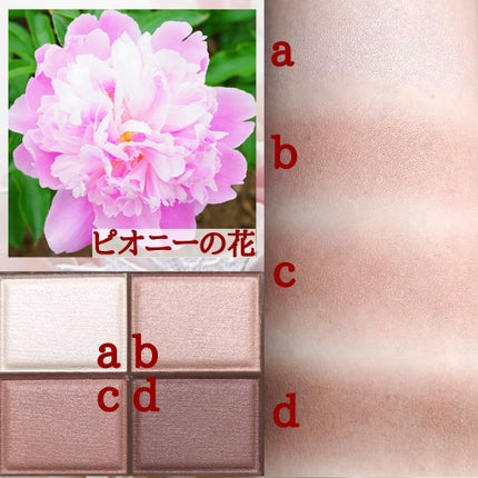 スキニーリッチシャドウ/excel/アイシャドウパレットを使ったクチコミ(2枚目)