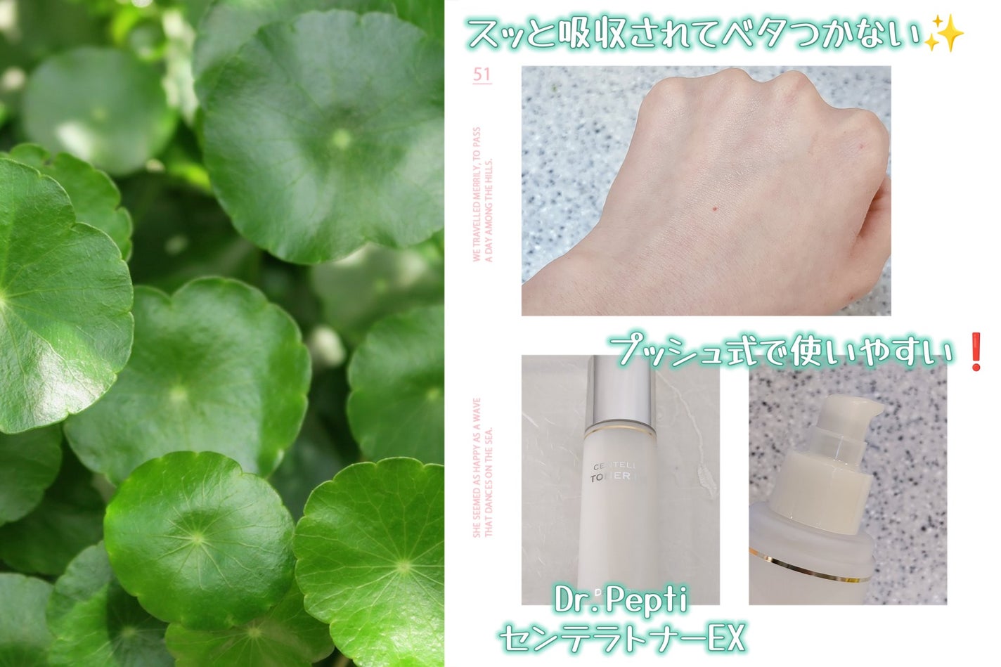 センテラトナー/DR.PEPTI/化粧水を使ったクチコミ(3枚目)