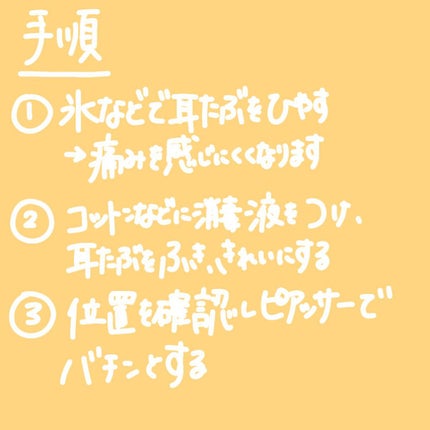 ピアッサー/ピナック/その他を使ったクチコミ(3枚目)