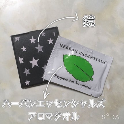 ささくれ on LIPS 「初めてのポーチの中身紹介(〃ω〃)カバンを入れ替えてもコレは必..」(8枚目)