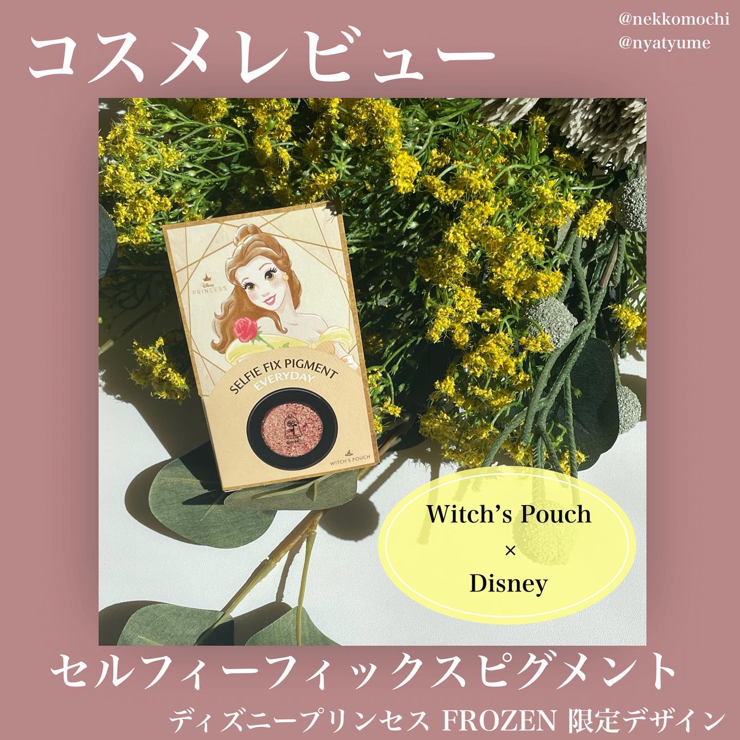 セルフィーフィックスピグメント/Witch's Pouch/単色アイシャドウを使ったクチコミ（2枚目）