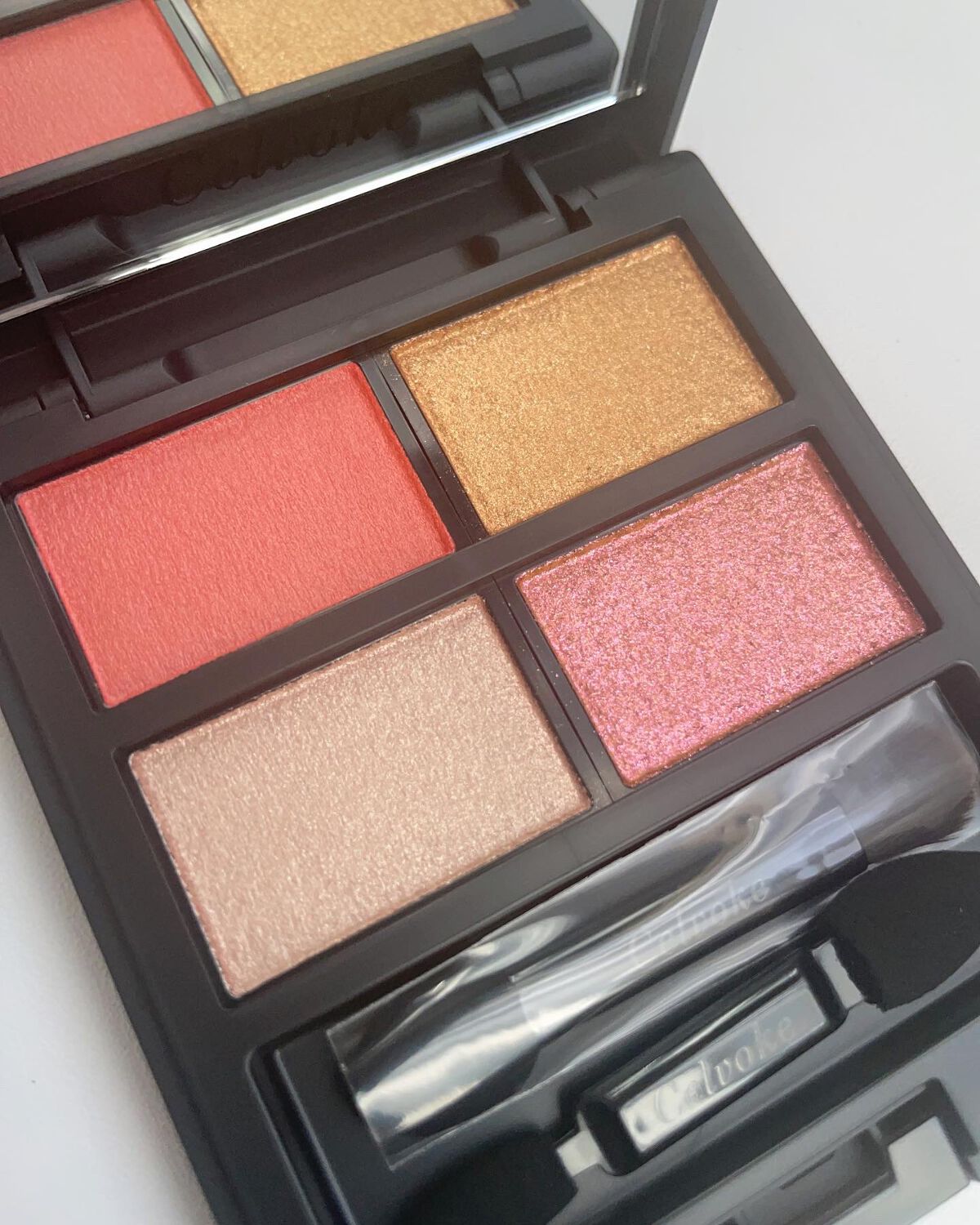 セルヴォーク ヴァティック アイパレット EX02 ポジティブ