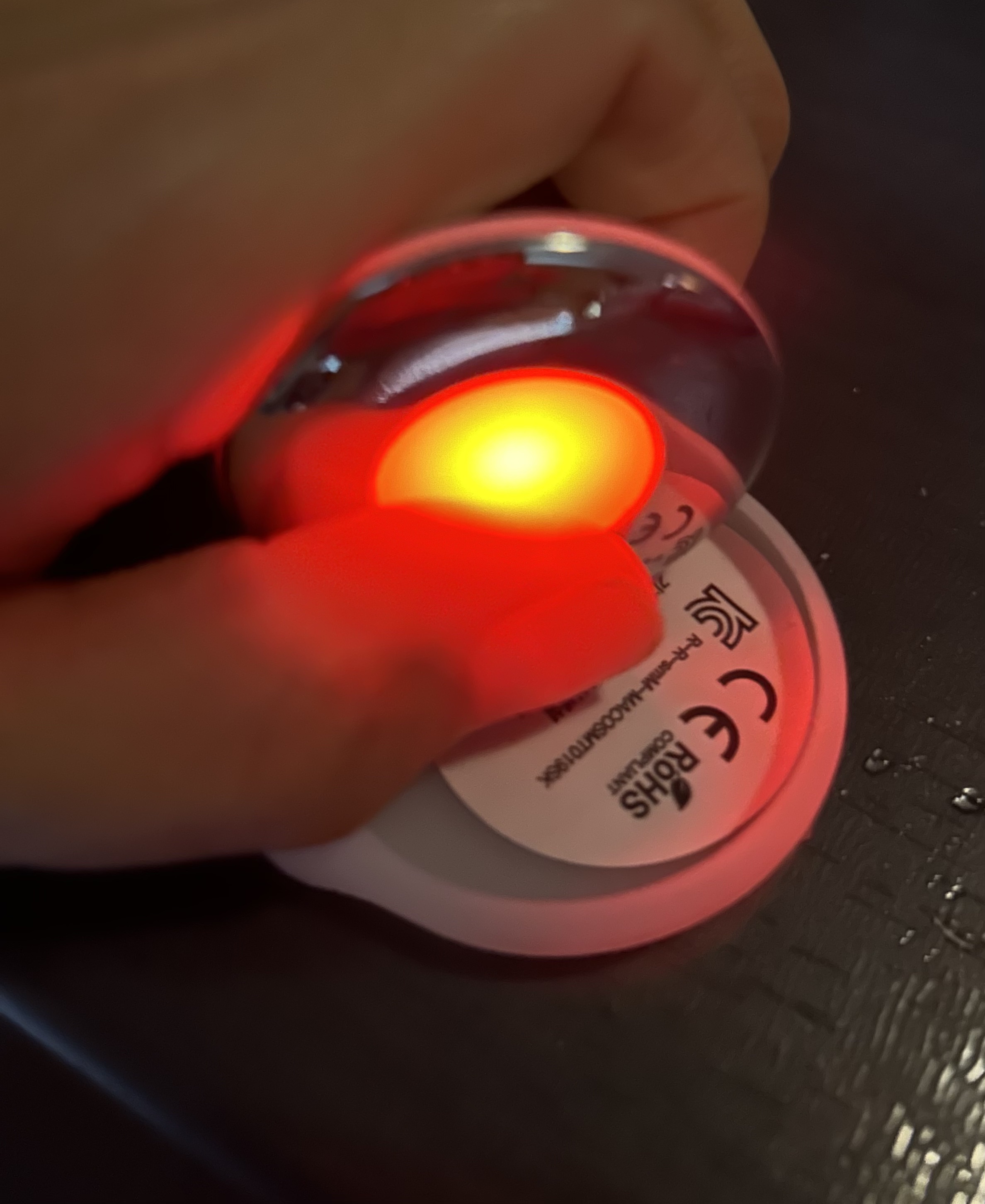 オーセンティックＬＥＤブースター/AUTHENTIC/美顔器・マッサージを使ったクチコミ（1枚目）