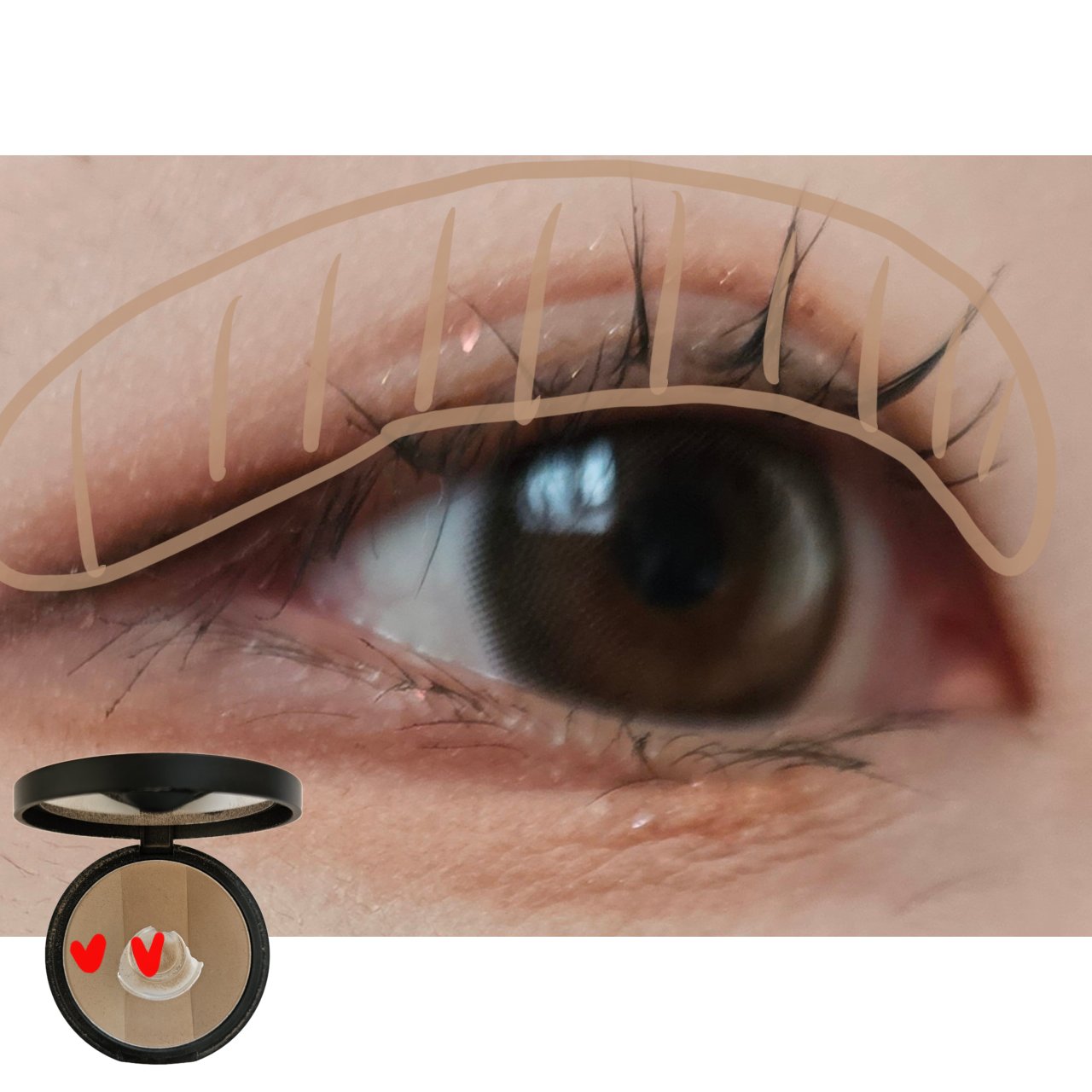 ナチュラル チークN/CEZANNE/パウダーチークを使ったクチコミ（2枚目）