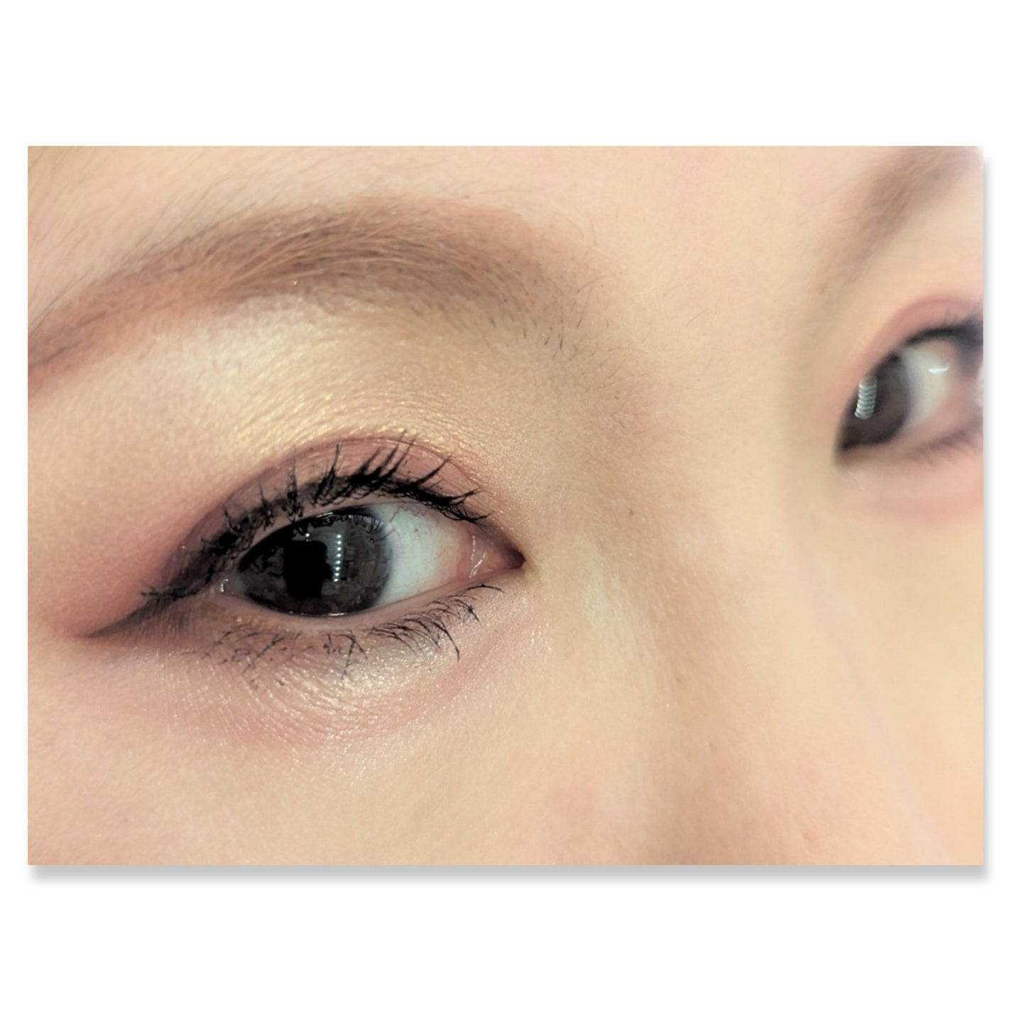 リアルアイハンディパレット/espoir/アイシャドウパレットを使ったクチコミ(2枚目)