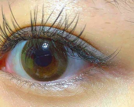 【旧品】パーフェクトスタイリストアイズ/キャンメイク/アイシャドウパレットを使ったクチコミ(4枚目)