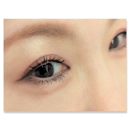 エクスプローラ12色 動物アイシャドウパレット 鯉/PERFECT DIARY/アイシャドウパレットを使ったクチコミ(2枚目)