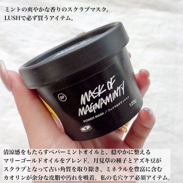 ラッシュ パワーマスク SPのクチコミ「毛穴の黒ずみケアにはこれ🔥!!LUSHで必ず買う私の必須アイテム‼️1度で実感できた長年愛用の.....」（2枚目）