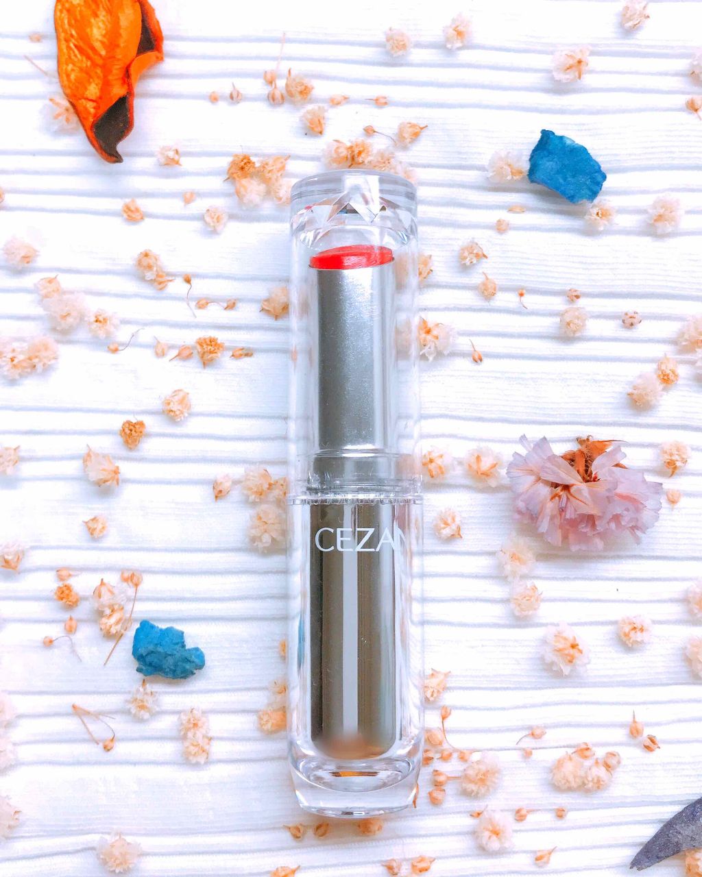 ラスティンググロスリップ/CEZANNE/口紅を使ったクチコミ(1枚目)