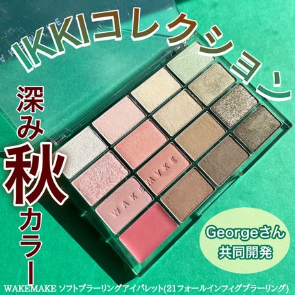 ソフトブラーリングアイパレット/wakemake/アイシャドウパレットを使ったクチコミ(1枚目)