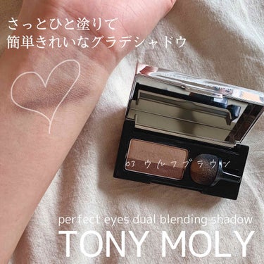 パーフェクトアイズ デュアルブレンディングシャドウ/TONYMOLY/単色アイシャドウを使ったクチコミ（1枚目）