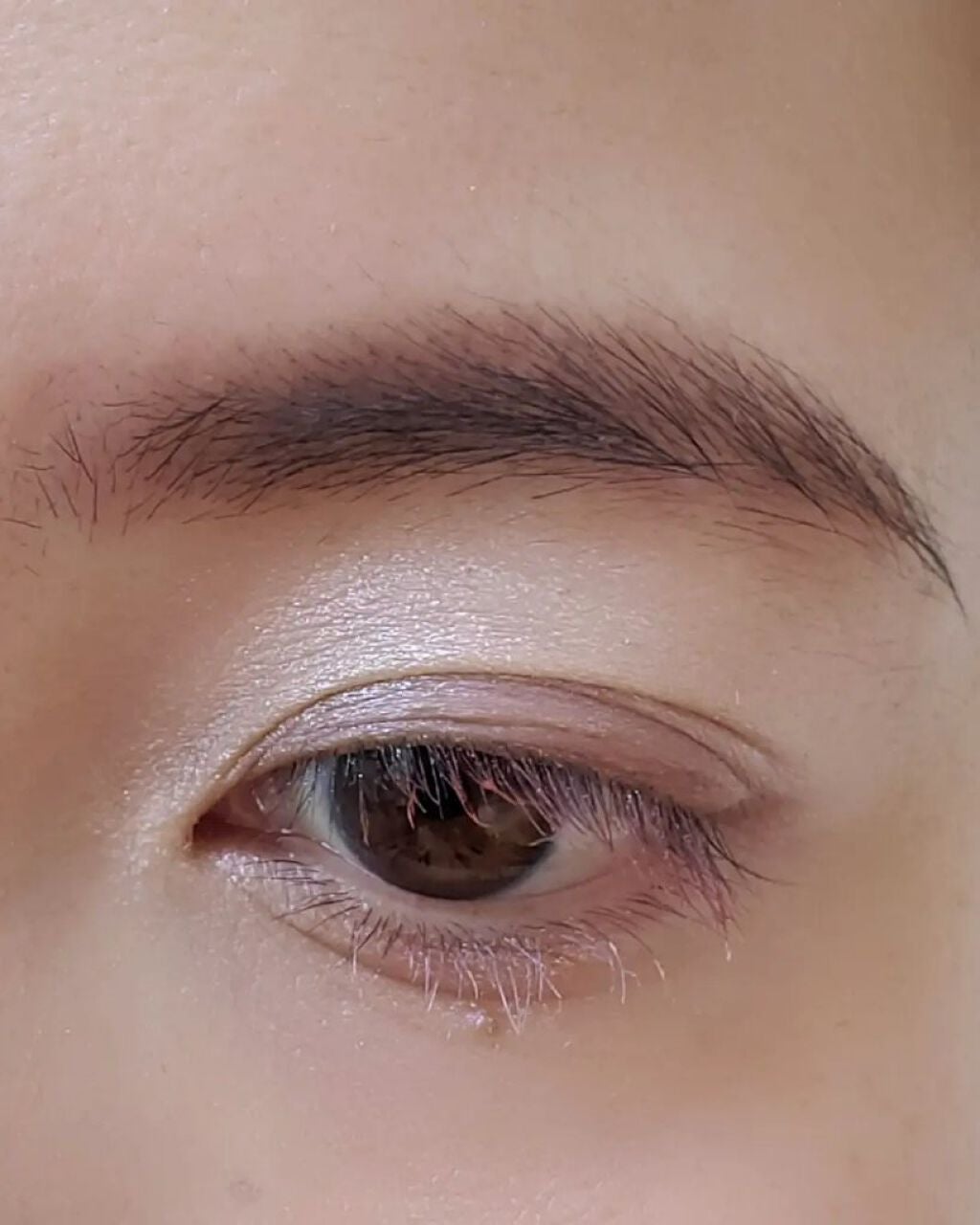 フーミー アイブロウパウダー/WHOMEE/パウダーアイブロウを使ったクチコミ(6枚目)