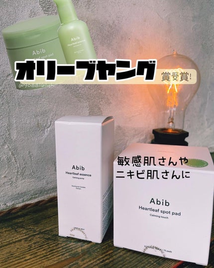 ドクダミカーミングタッチスポットパッド/Abib /トナーパッドを使ったクチコミ(1枚目)