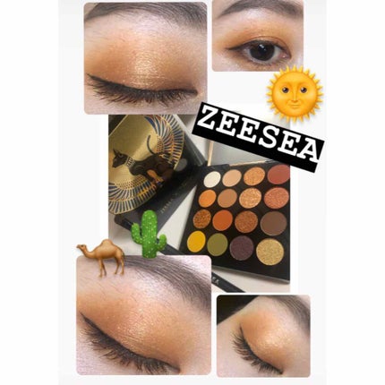大英博物館 エジプトシリーズ アイシャドウパレット/ZEESEA/アイシャドウパレットを使ったクチコミ(1枚目)