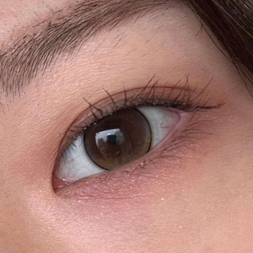 シルキースフレアイズ(マットタイプ)/キャンメイク/アイシャドウパレットを使ったクチコミ(2枚目)