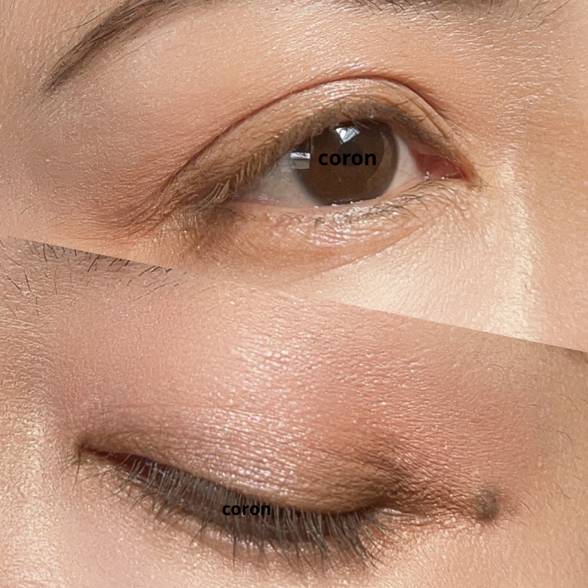 ジルスチュアート ムースブロウマスカラ 09 terracotta orange/JILL STUART/眉マスカラを使ったクチコミ（2枚目）