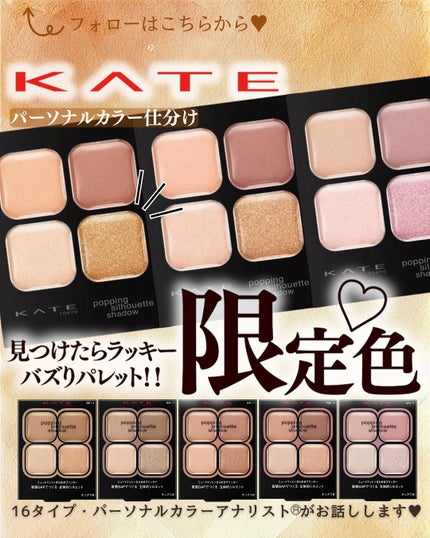 ケイト ポッピングシルエットシャドウ/KATE/アイシャドウパレットを使ったクチコミ(1枚目)