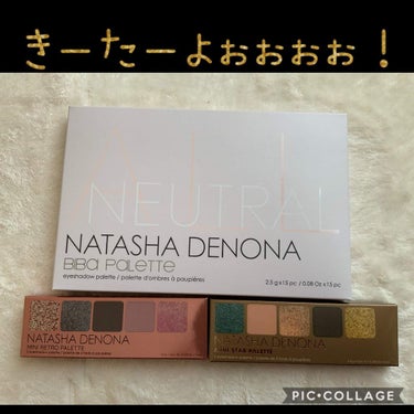 ミニレトロパレット/Natasha Denona/アイシャドウパレットを使ったクチコミ（1枚目）