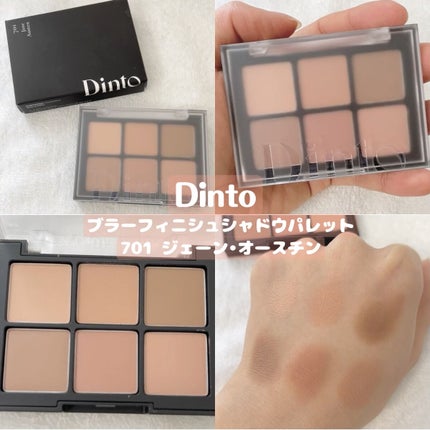 ブラーフィニシュシャドウパレット/Dinto/アイシャドウパレットを使ったクチコミ(1枚目)