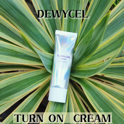 デュイセル ターンオンクリーム/DEWYCEL/フェイスクリームを使ったクチコミ(1枚目)