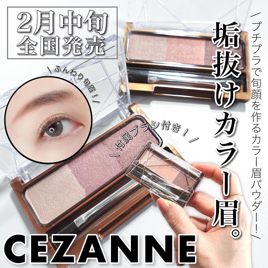 ノーズ&アイブロウパウダー/CEZANNE/パウダーアイブロウを使ったクチコミ(1枚目)