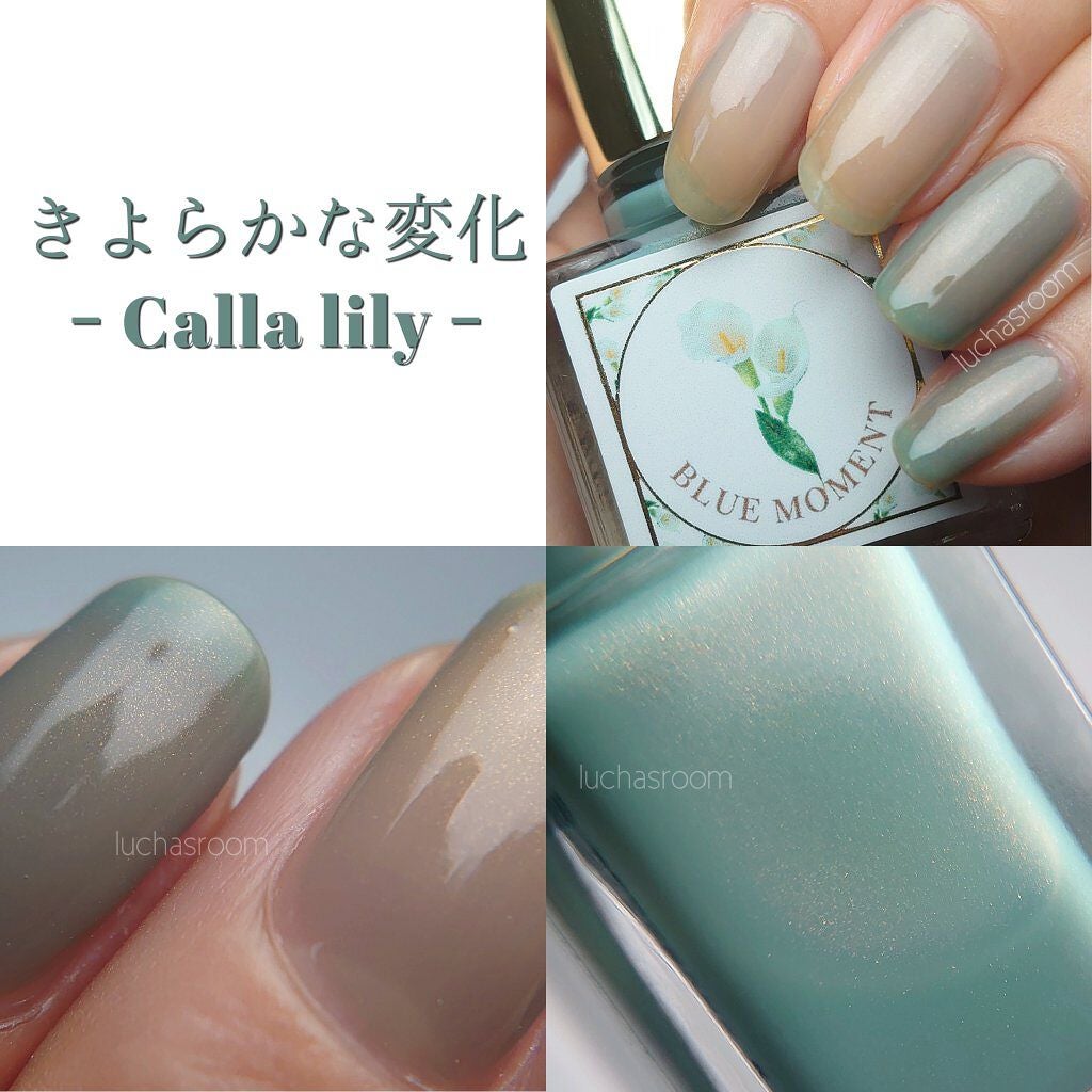 るか @luchasroom on LIPS 「3月14日発売!#出版社ブルーモーメントより#秘めごとネイルが..」(3枚目)