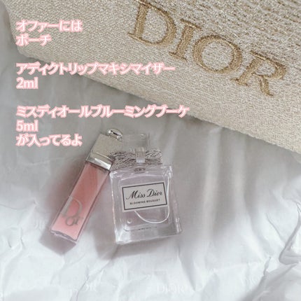 ディオール アディクト リップ マキシマイザー/Dior/リップグロスを使ったクチコミ(6枚目)