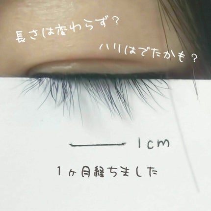 ラッシュジェリードロップ EX/MAJOLICA MAJORCA/まつげ美容液を使ったクチコミ(2枚目)