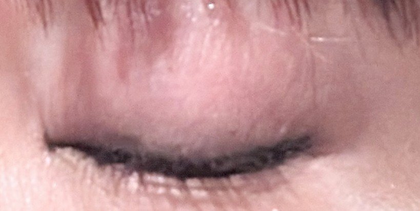 UR GLAM　BLOOMING EYE COLOR PALETTE/U R GLAM/アイシャドウパレットを使ったクチコミ（3枚目）