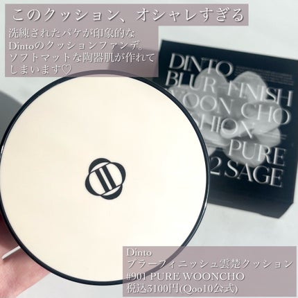 ブラーフィニッシュ雲楚クッション/Dinto/クッションファンデーションを使ったクチコミ(2枚目)