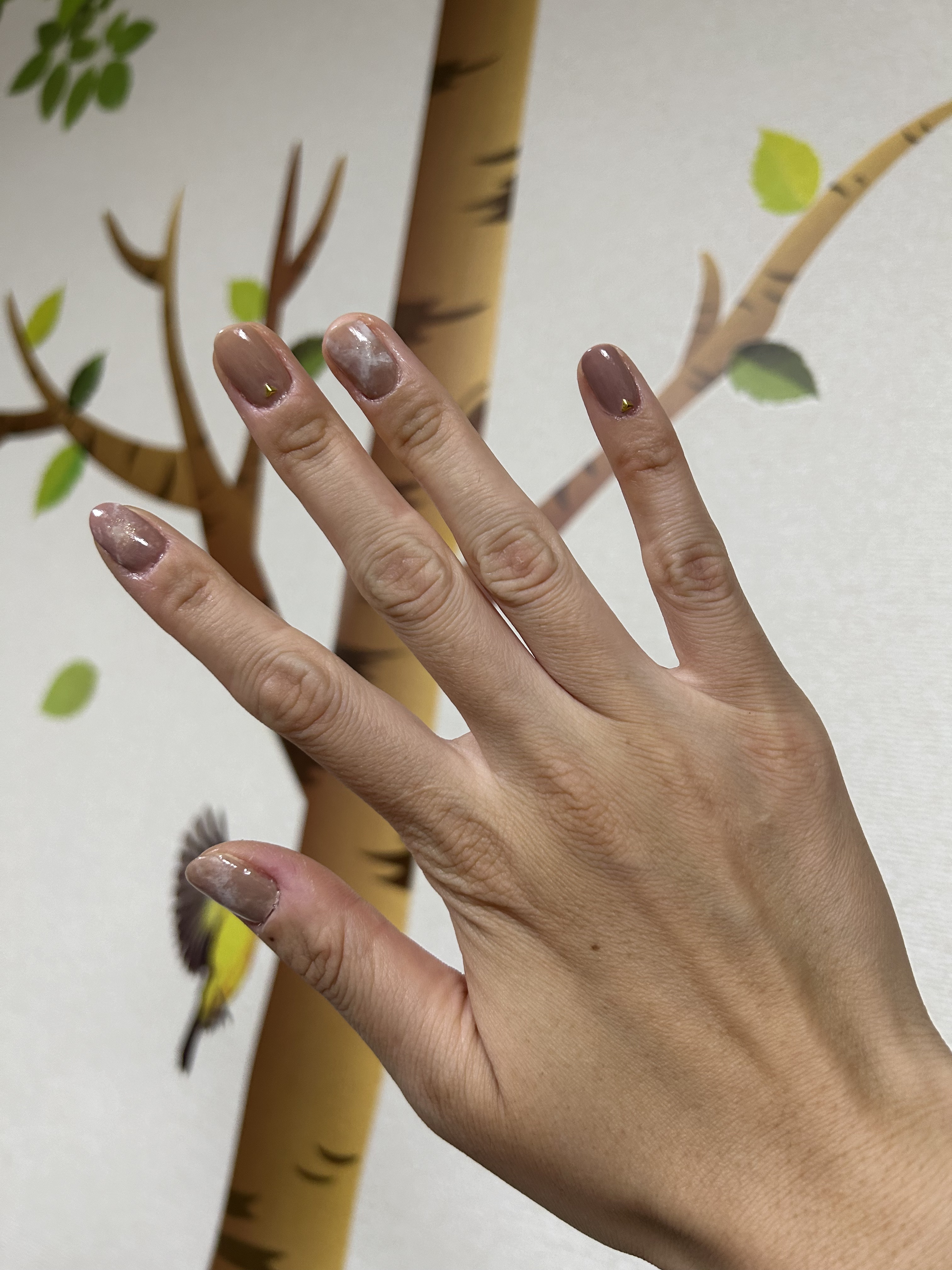 カラフルネイルズ/キャンメイク/マニキュアを使ったクチコミ（1枚目）