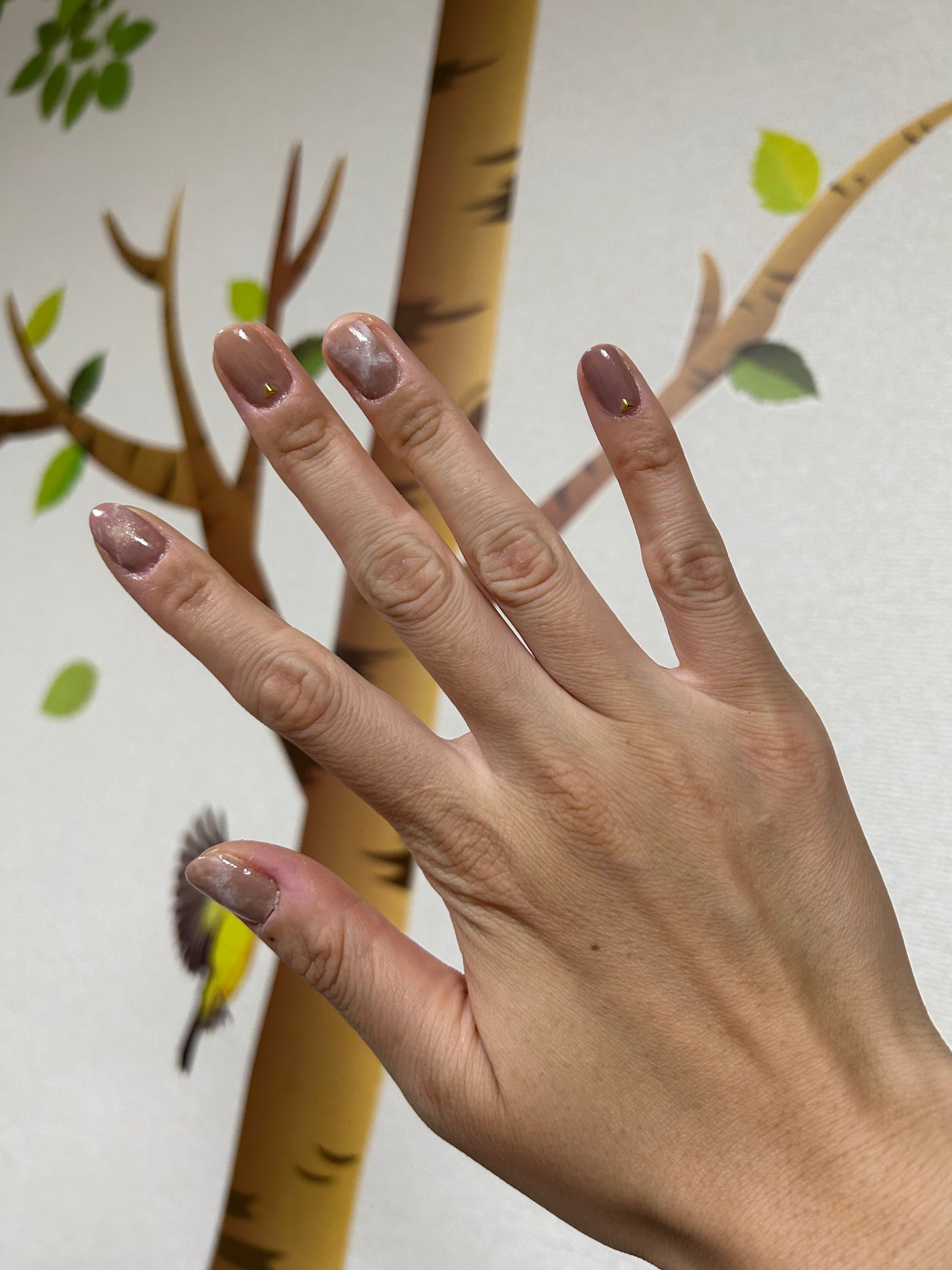 カラフルネイルズ/キャンメイク/マニキュアを使ったクチコミ(1枚目)