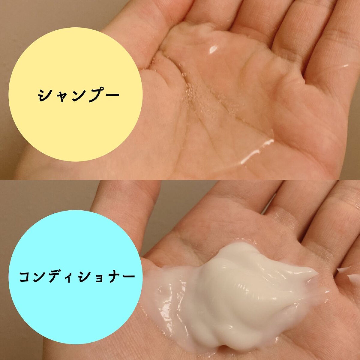 朝日禾玲 シャンプー／コンディショナー SHINE/ASAHAPLING/市販シャンプーを使ったクチコミ（2枚目）