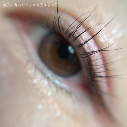 ペールトーンアイシャドウ/CEZANNE/アイシャドウを使ったクチコミ(5枚目)