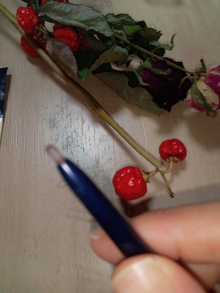 アイブロウペンシルAA/media/アイブロウペンシルを使ったクチコミ(2枚目)