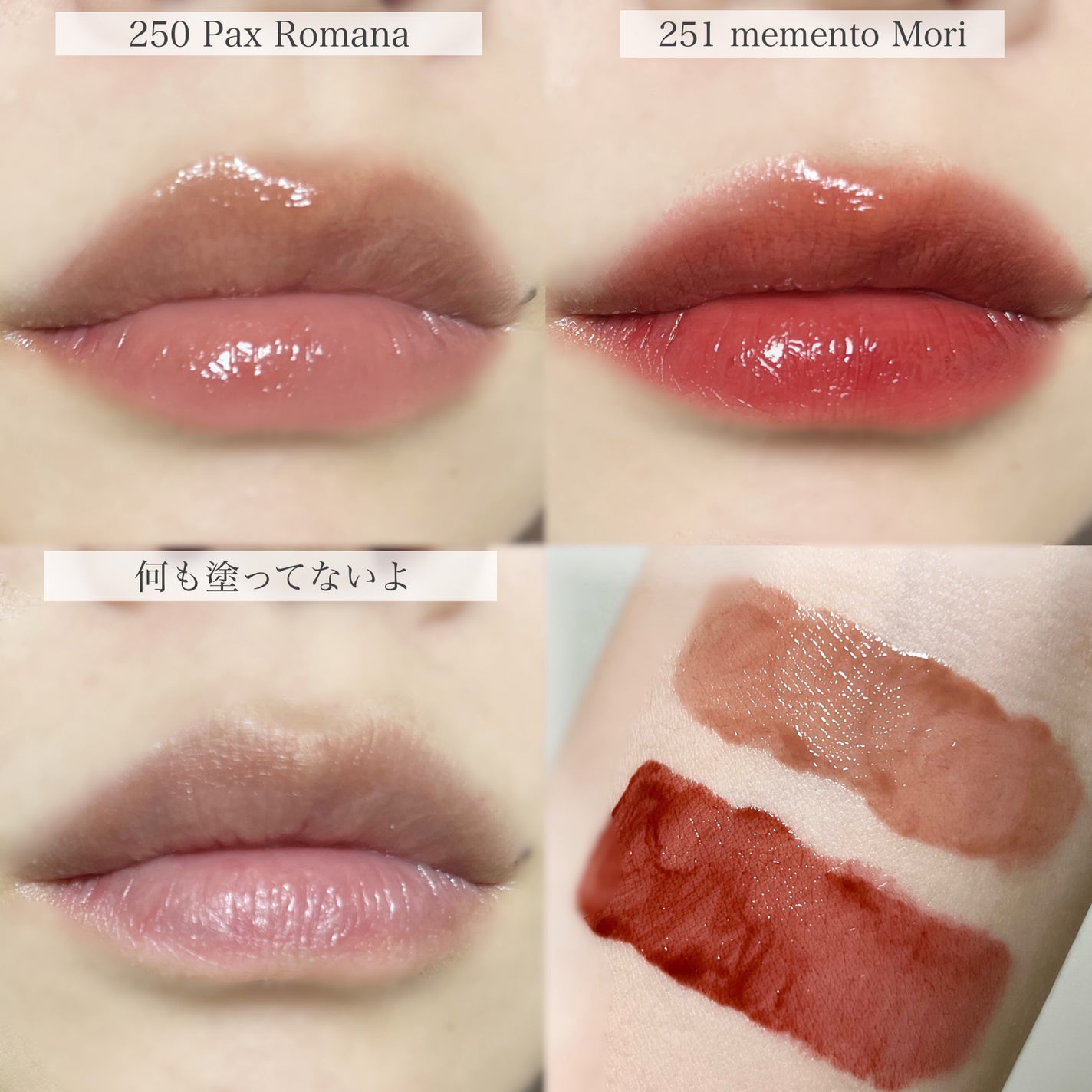 ブラーグロイリップティント/Dinto/リップティントを使ったクチコミ(4枚目)