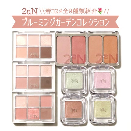 ベターミーアイパレット/2aN/マルチパレットを使ったクチコミ(1枚目)