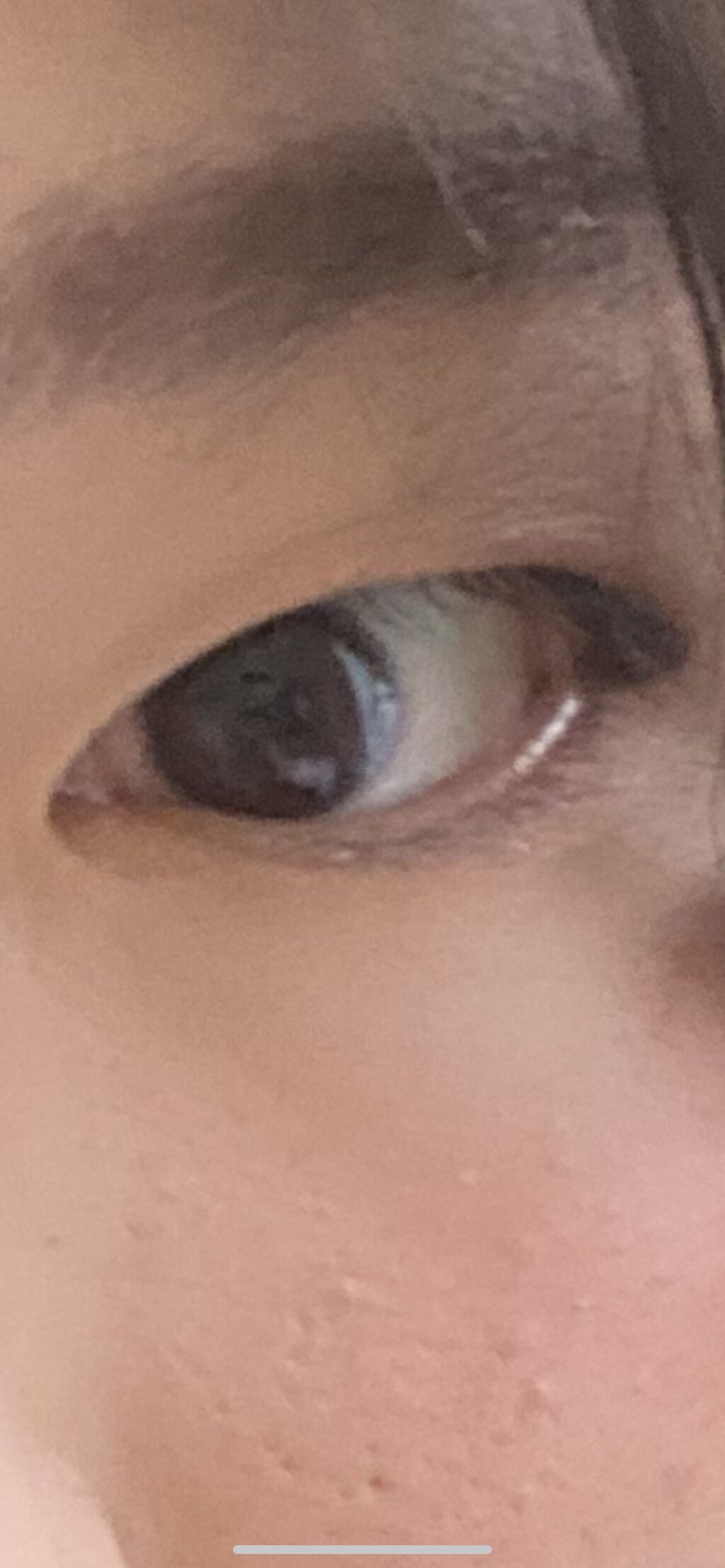 ふたえナイトパック リッチ＆ハード/ベクトラス/二重まぶた用アイテムを使ったクチコミ（3枚目）