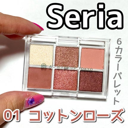 AC 6アイカラーパレット/AC MAKEUP/アイシャドウパレットを使ったクチコミ(1枚目)