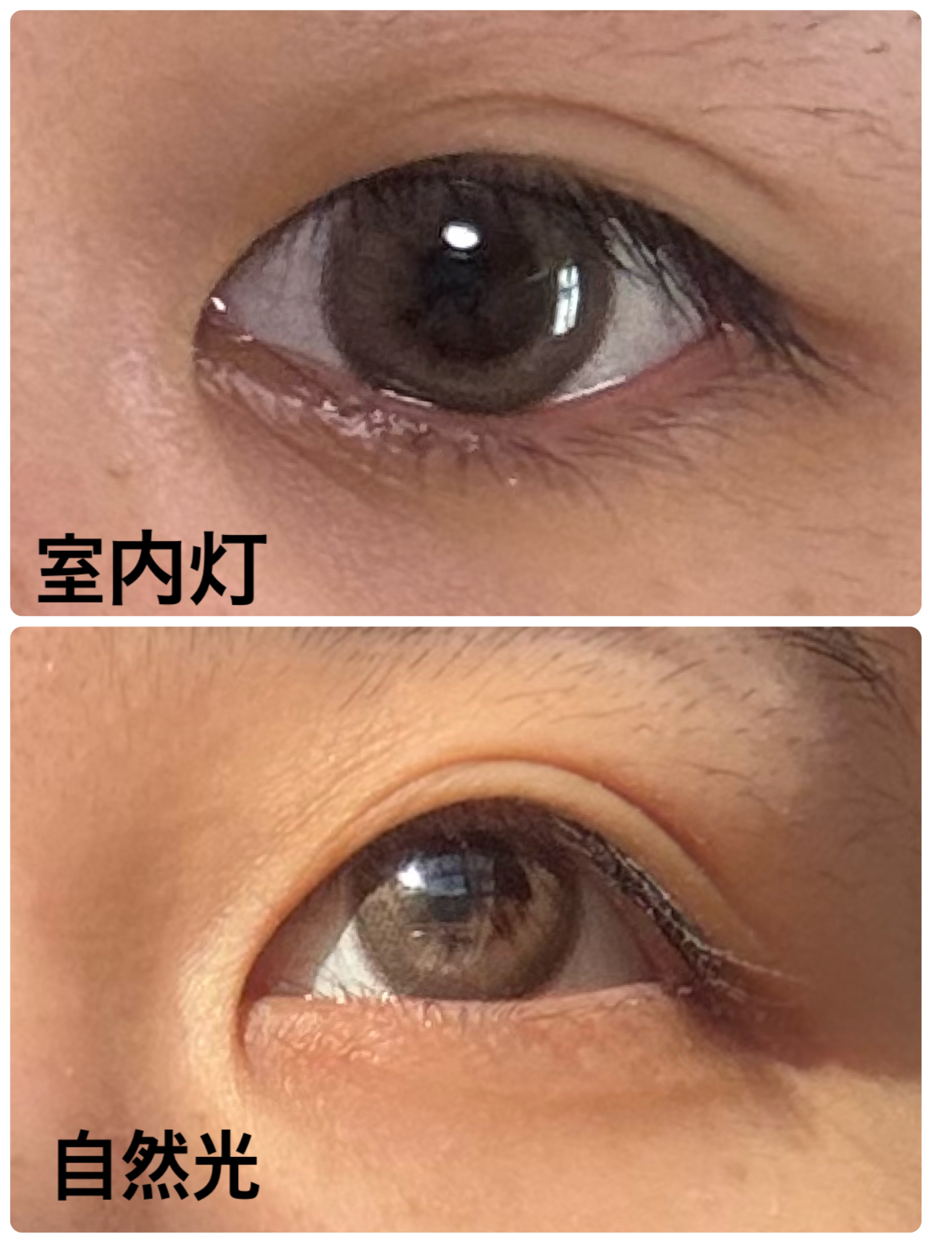 meiview Pearly 1day/Meiview/ワンデー（１DAY）カラコンを使ったクチコミ（2枚目）