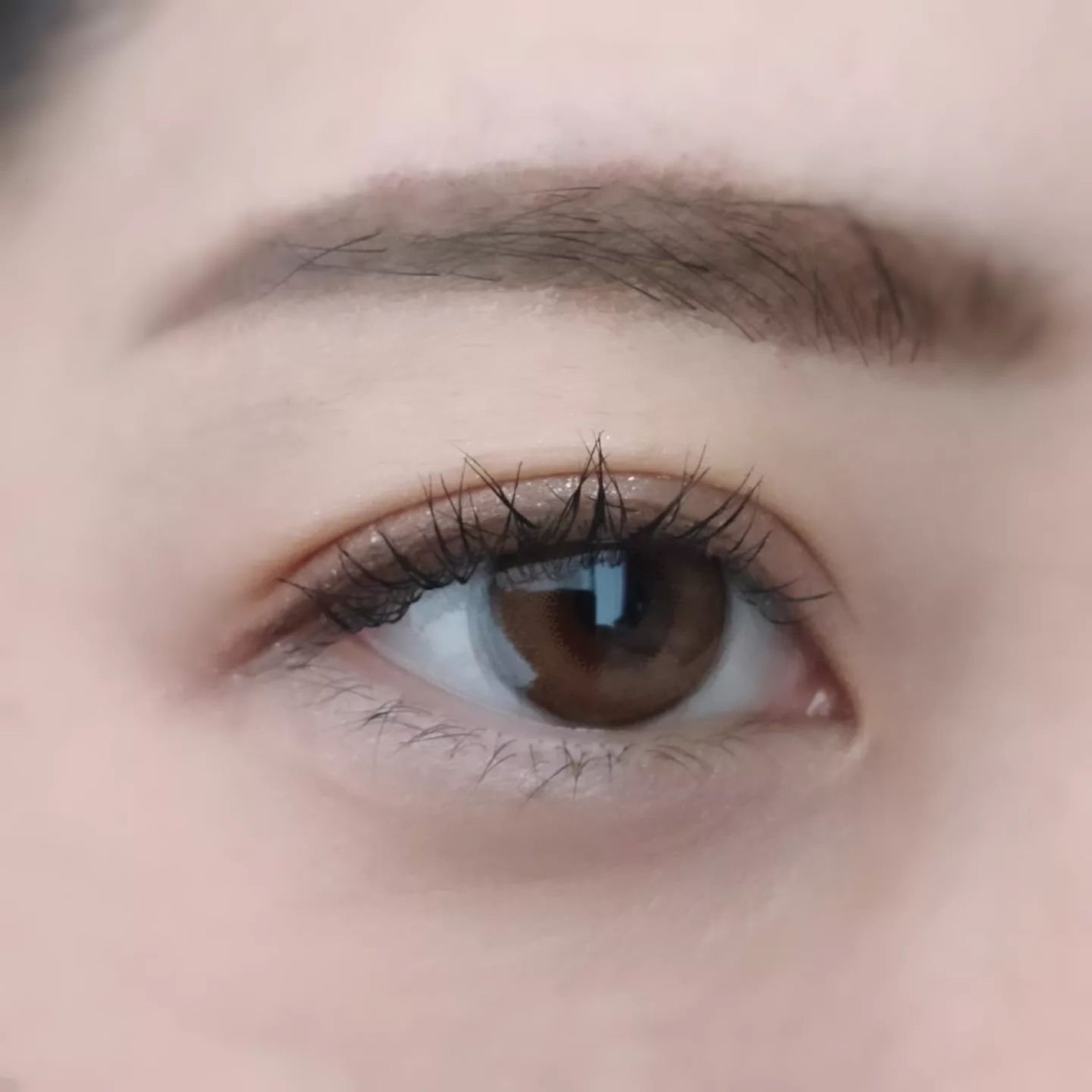 カールフィックスマスカラ/ETUDE/マスカラを使ったクチコミ(5枚目)