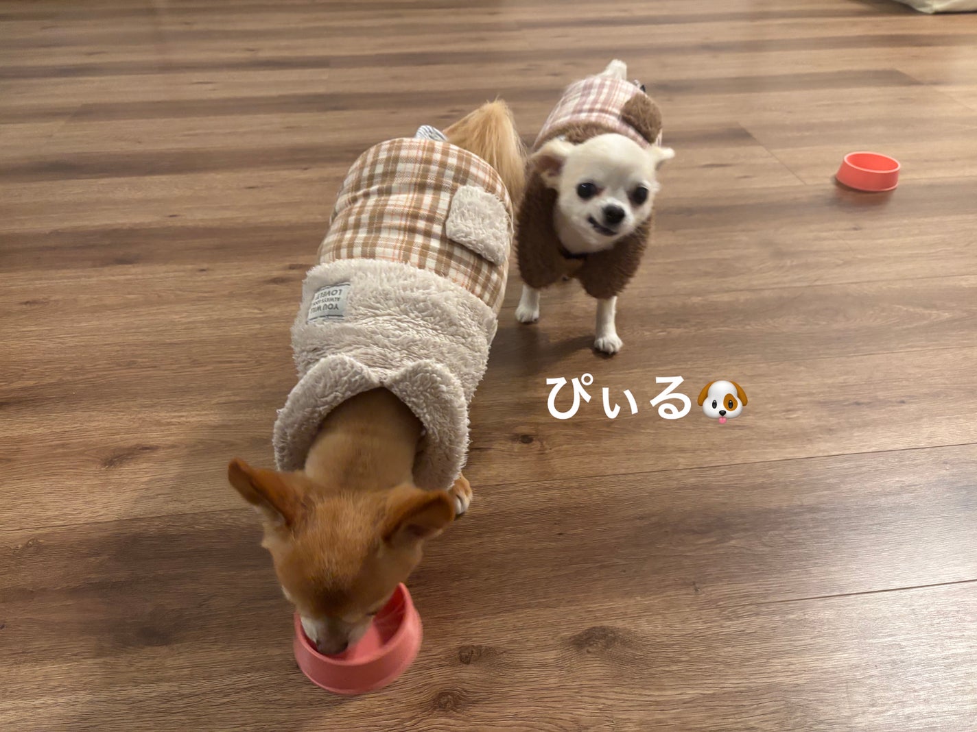 リップスティック スクレドール/PAUL & JOE BEAUTE/リップクリームを使ったクチコミ(6枚目)