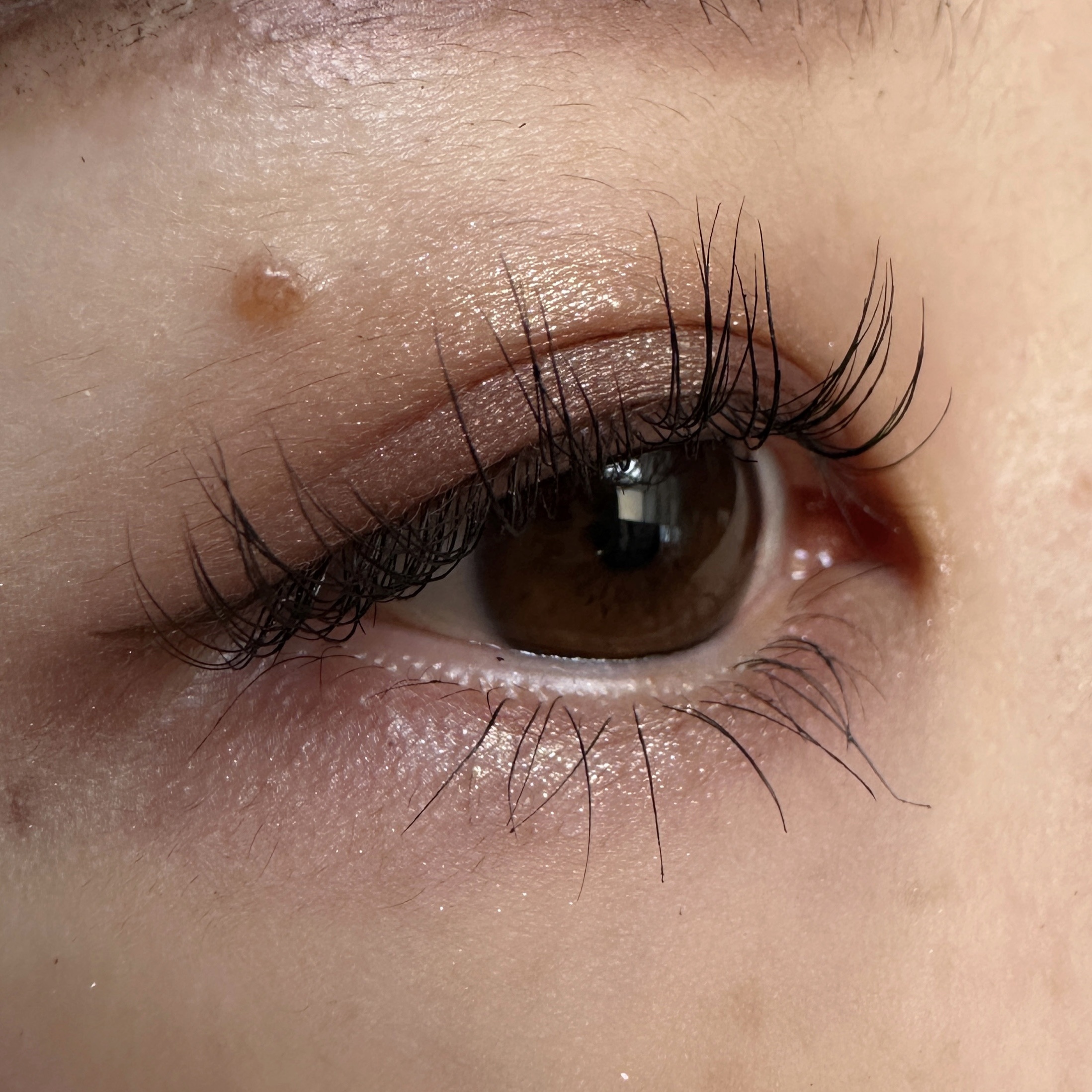 オンブル ドゥ エルメス パレット クワテュール 06 オンブル・モルドレ/エルメス/アイシャドウパレットを使ったクチコミ（2枚目）