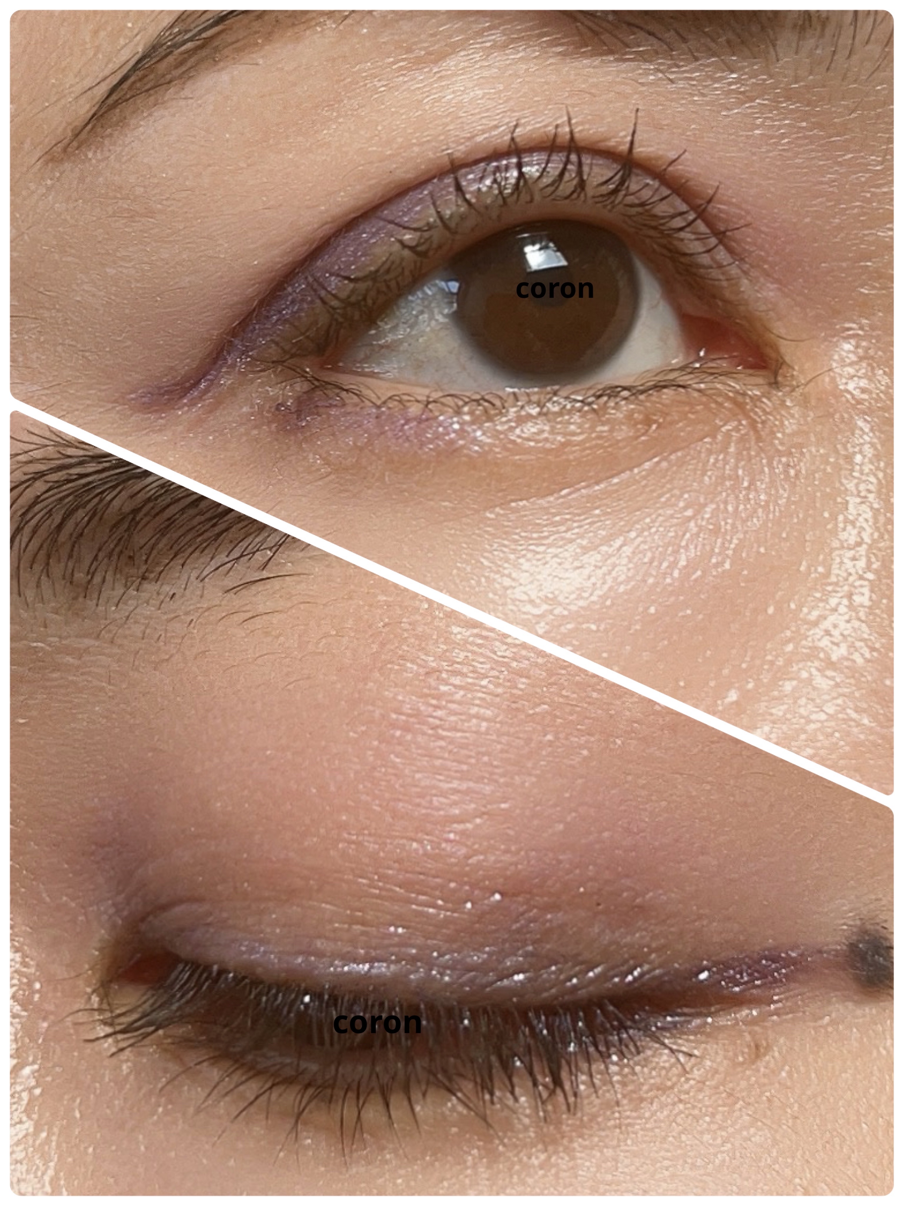 オンブル エサンシエル 232 リラ プードゥレ(マット)/CHANEL/単色アイシャドウを使ったクチコミ（2枚目）