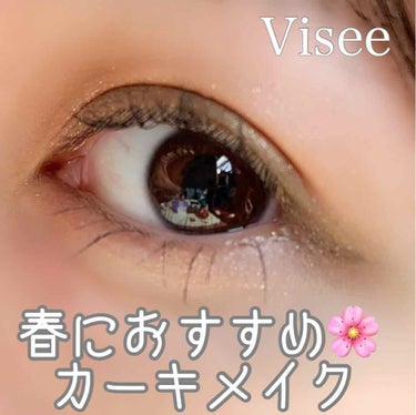 グロッシーリッチ アイズ/Visée/パウダーアイシャドウを使ったクチコミ（1枚目）